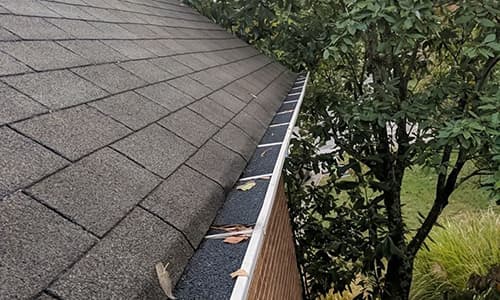 Don't Let Your Roof Turn into a Money Pit: The 5 Most Common Roofing Woes, Solved
